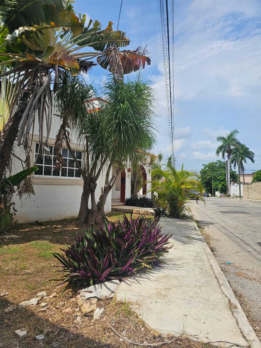 2 de 12