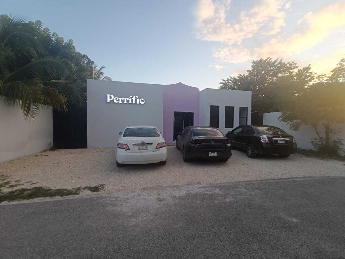 2 de 17