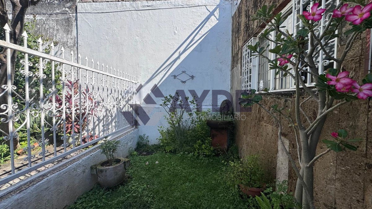 5 de 31