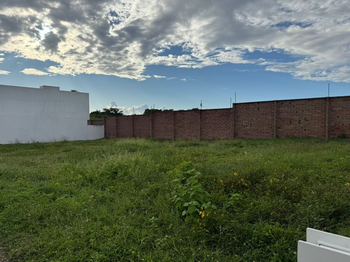 1 de 20