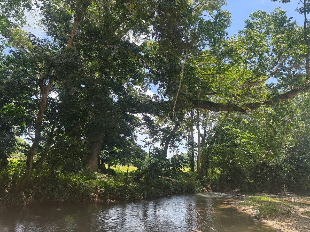 11 de 14: Rio El Higuero