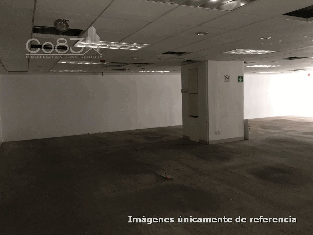 5 de 12
