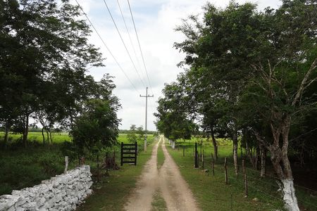 EB-UL6165