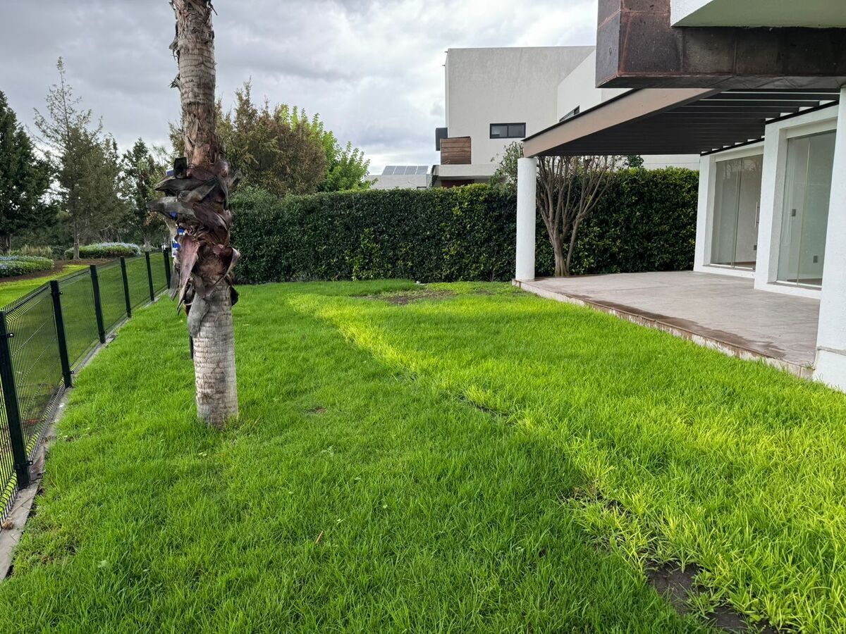 11 de 21