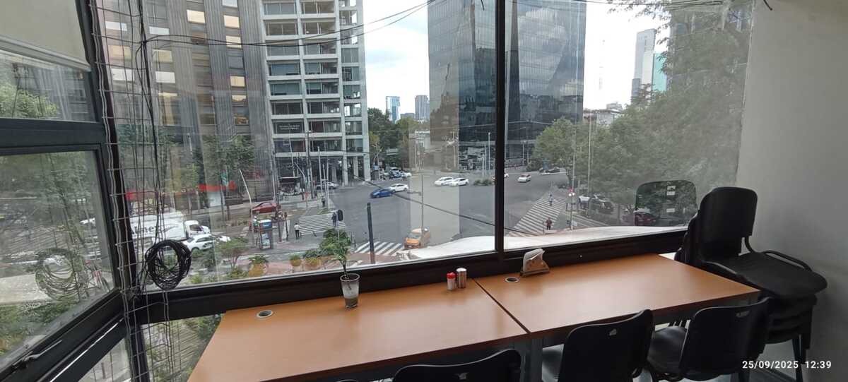 9 de 17