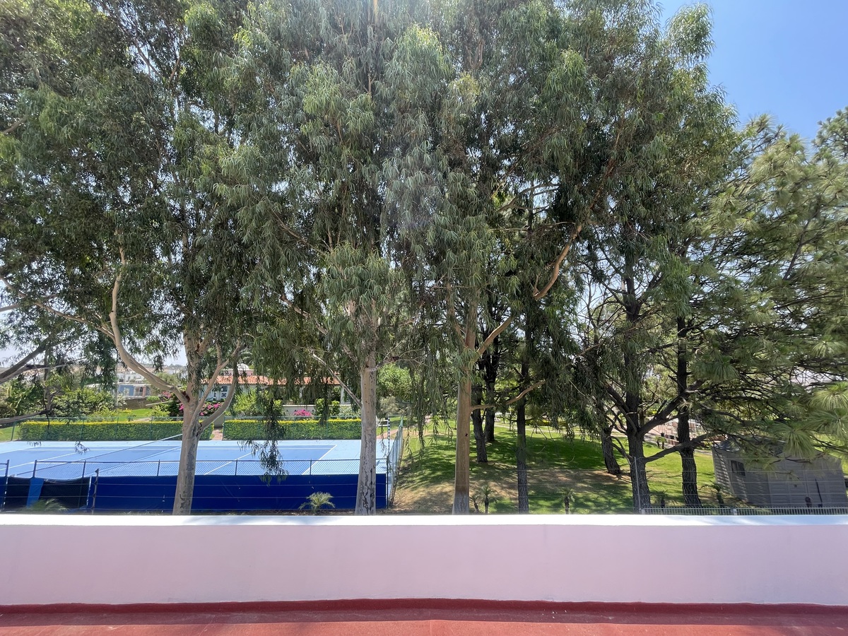25 de 30