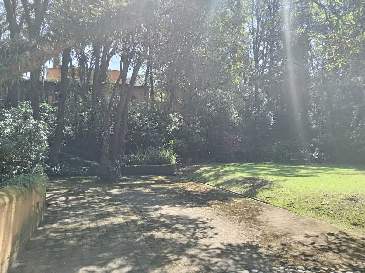 13 de 44