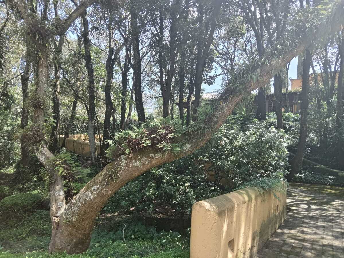 14 de 44