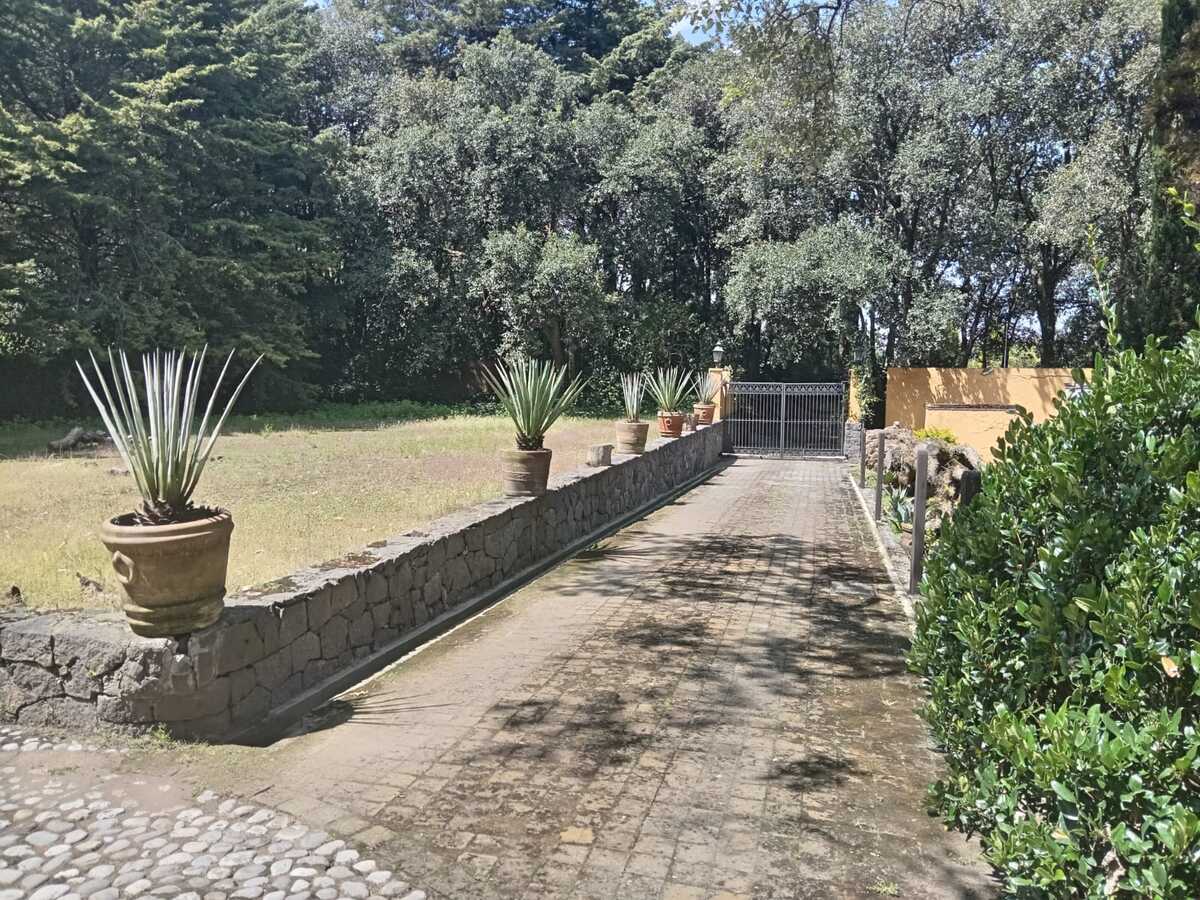 39 de 44