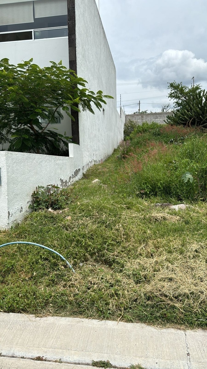 8 de 8