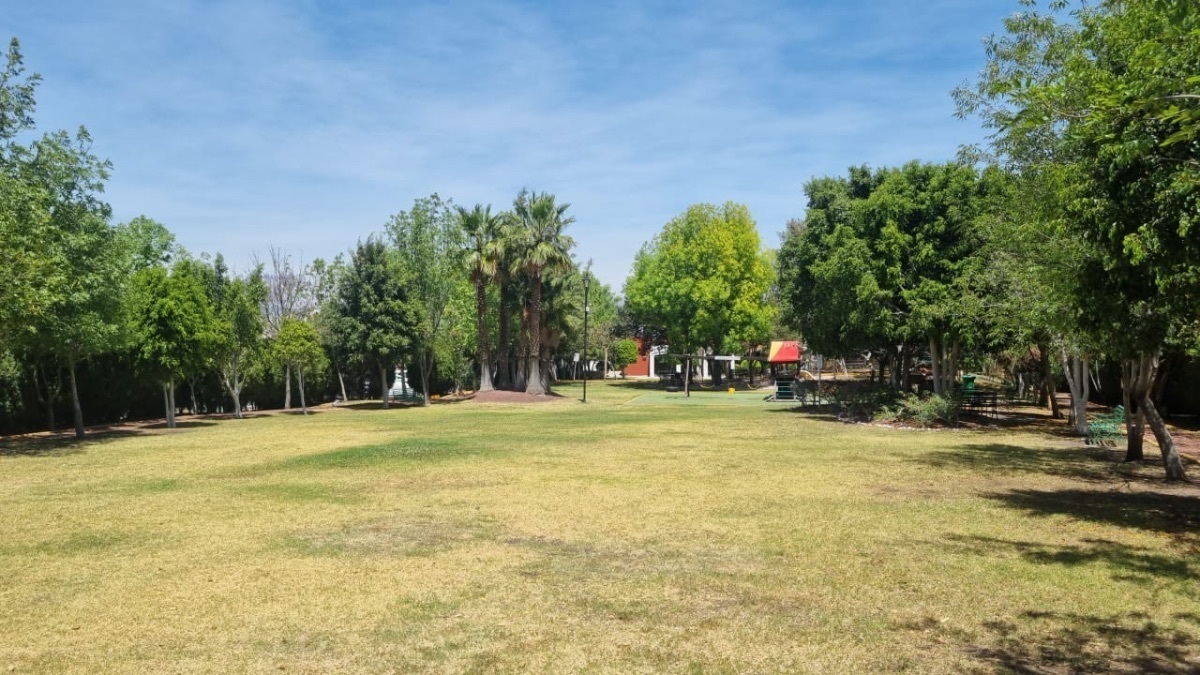 3 de 20