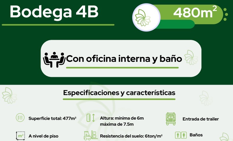 4 de 10