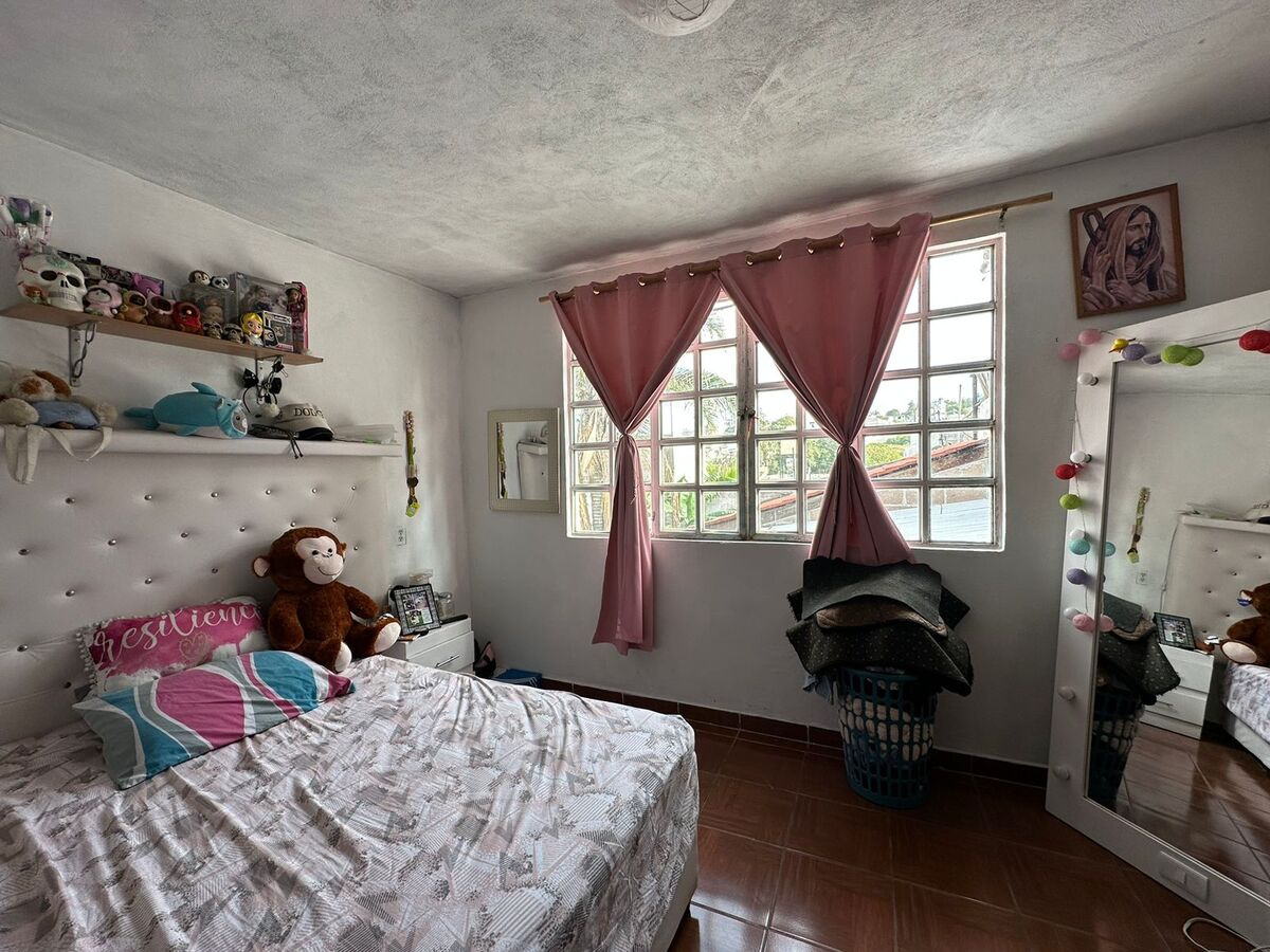 11 de 31