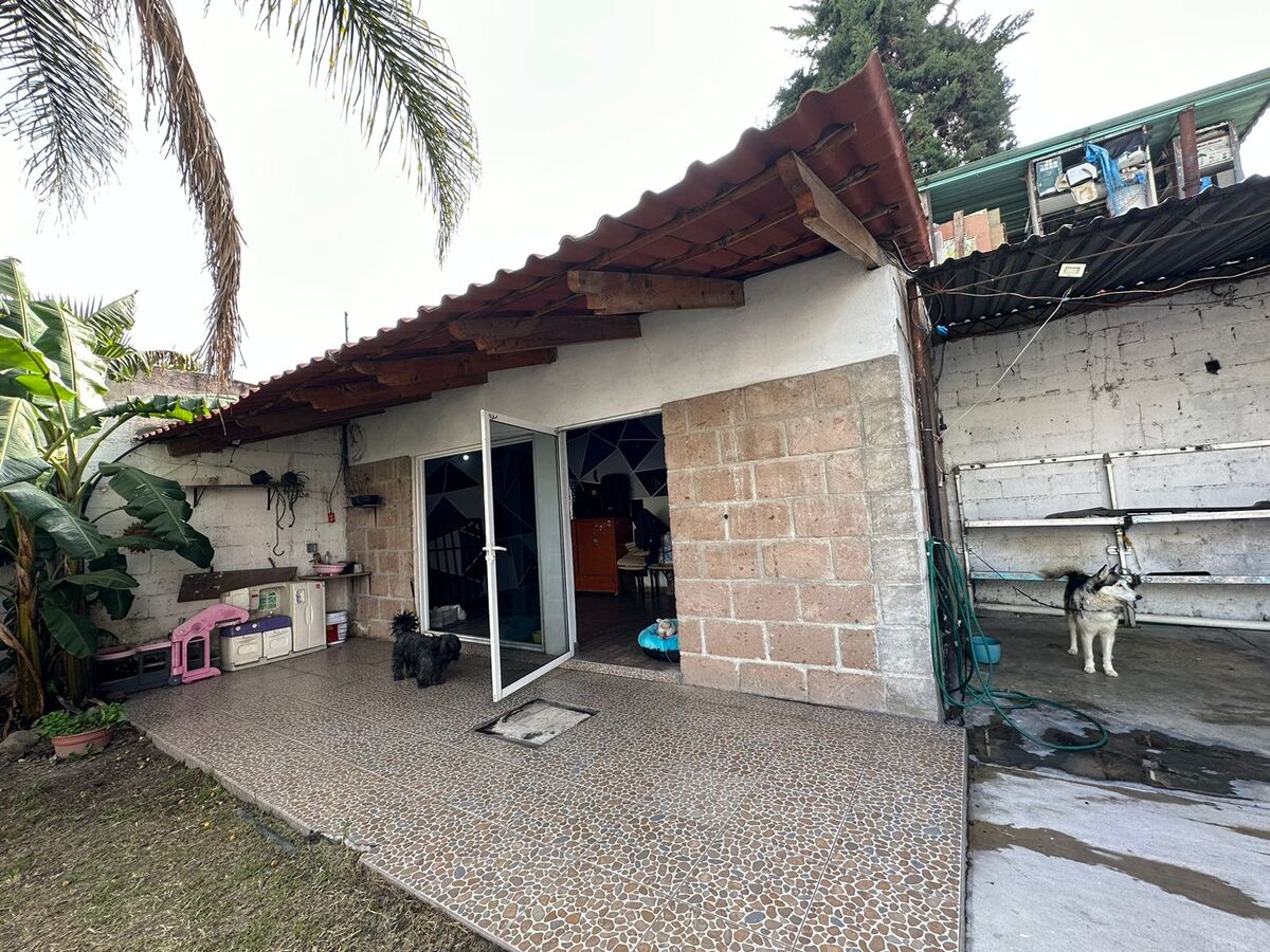 29 de 31