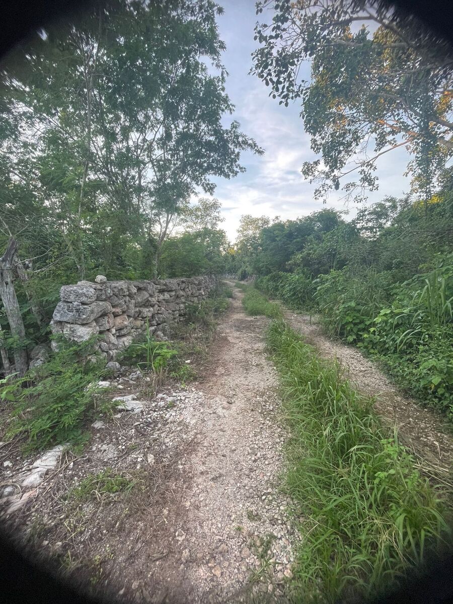3 de 4