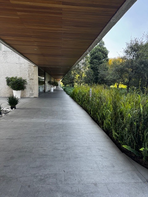 3 de 49