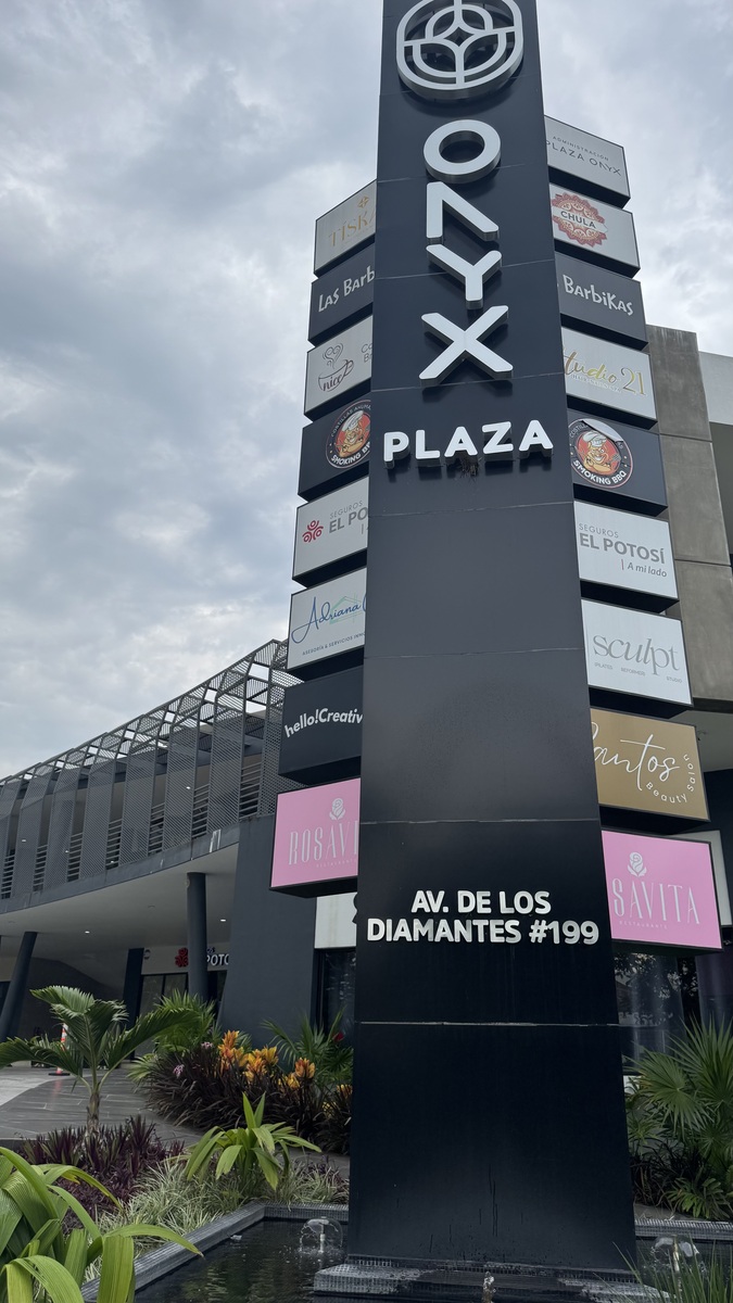 1 de 6