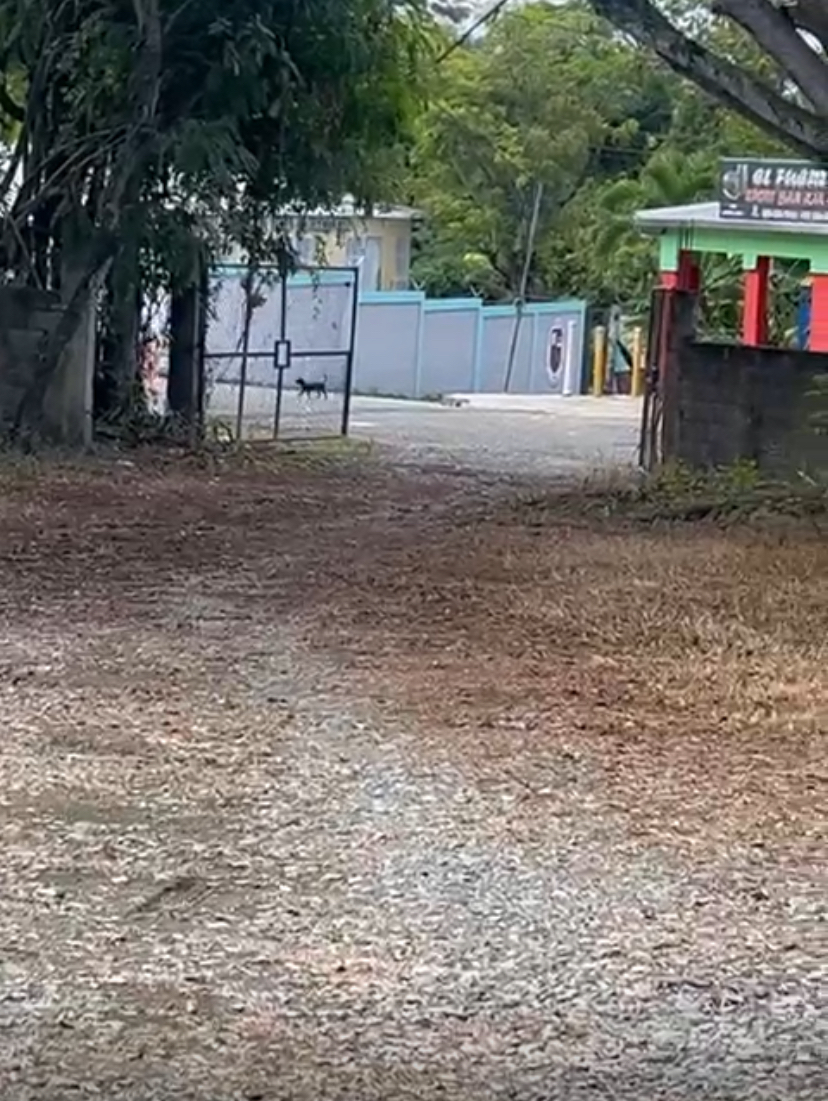 1 de 2
