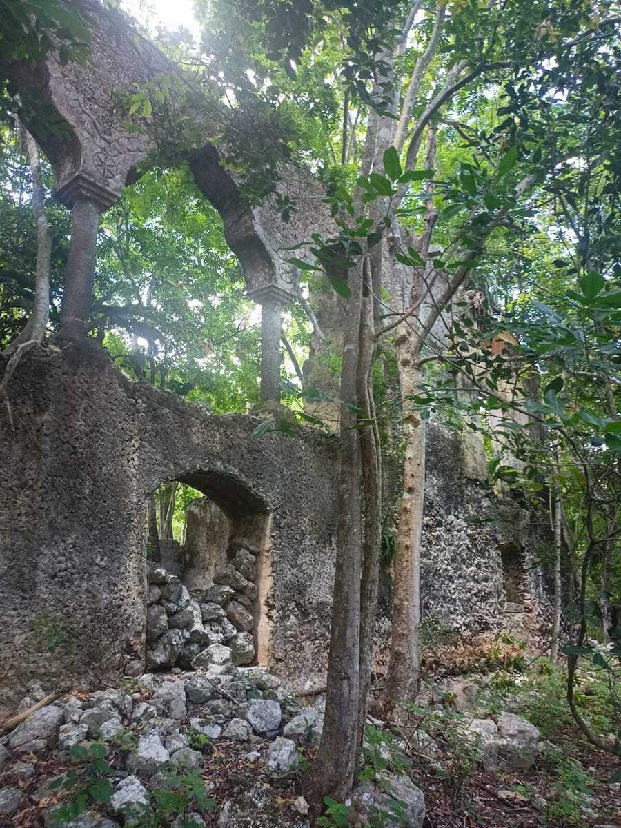 2 de 12