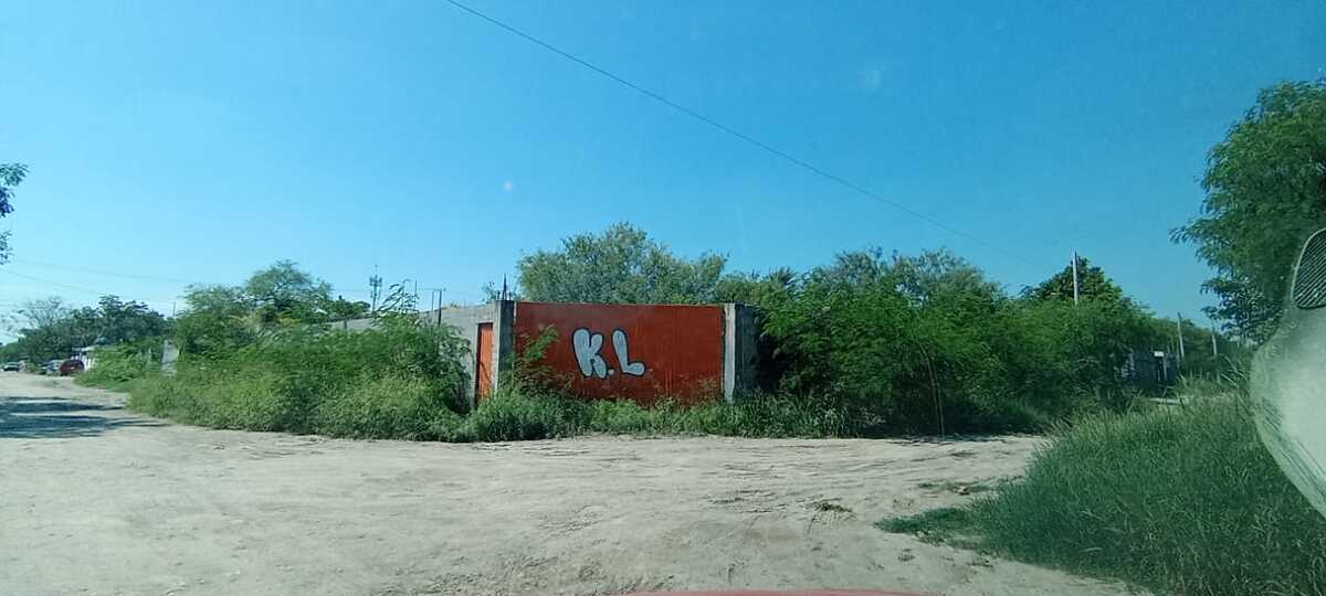 1 de 7