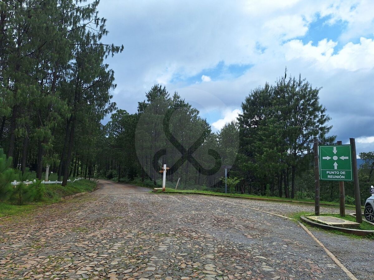 5 de 15