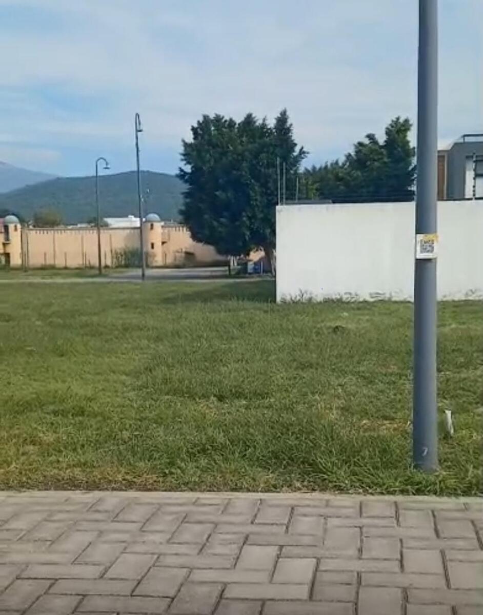 1 de 7