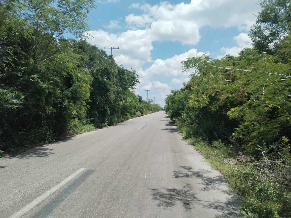 1 de 6