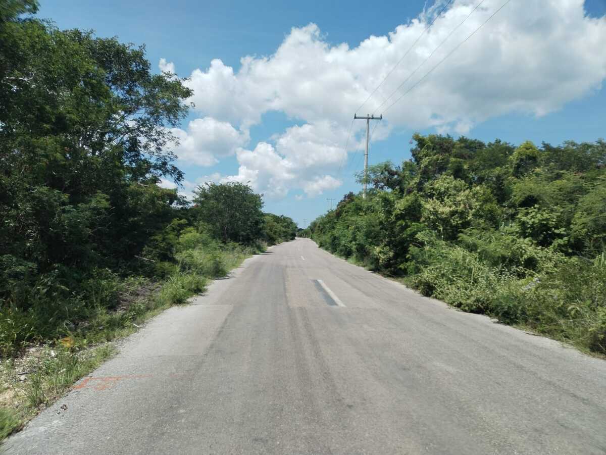 2 de 6