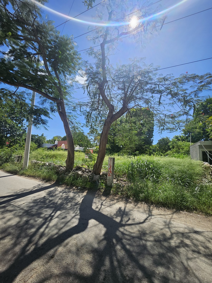2 de 10