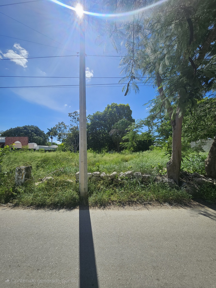 4 de 10