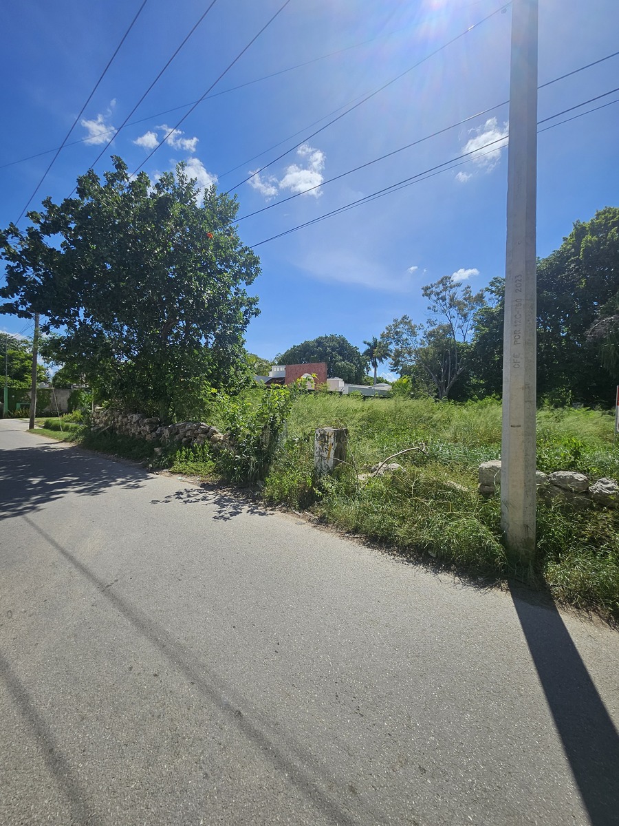 6 de 10