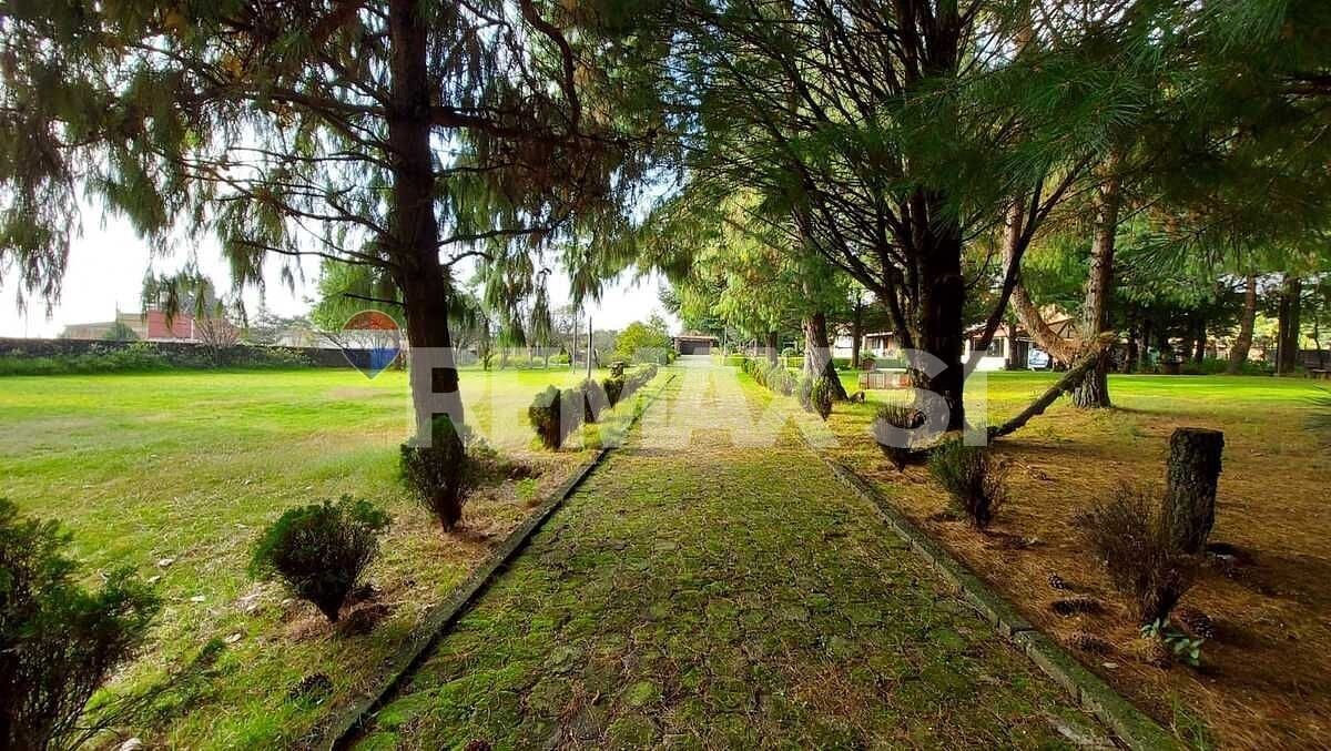 Lote em 3 Marías o 3 Cumbres, Huitzilac, foto 16 de 17