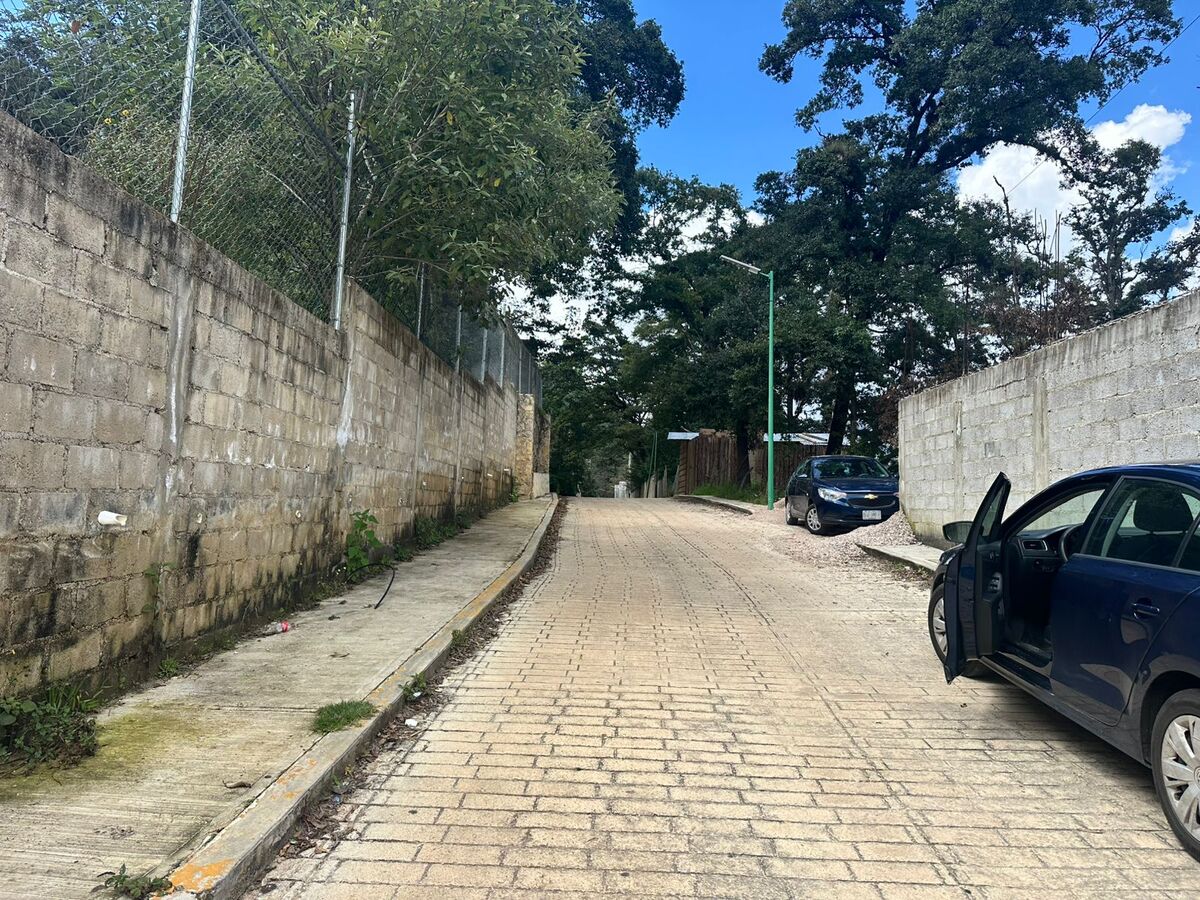 6 de 7