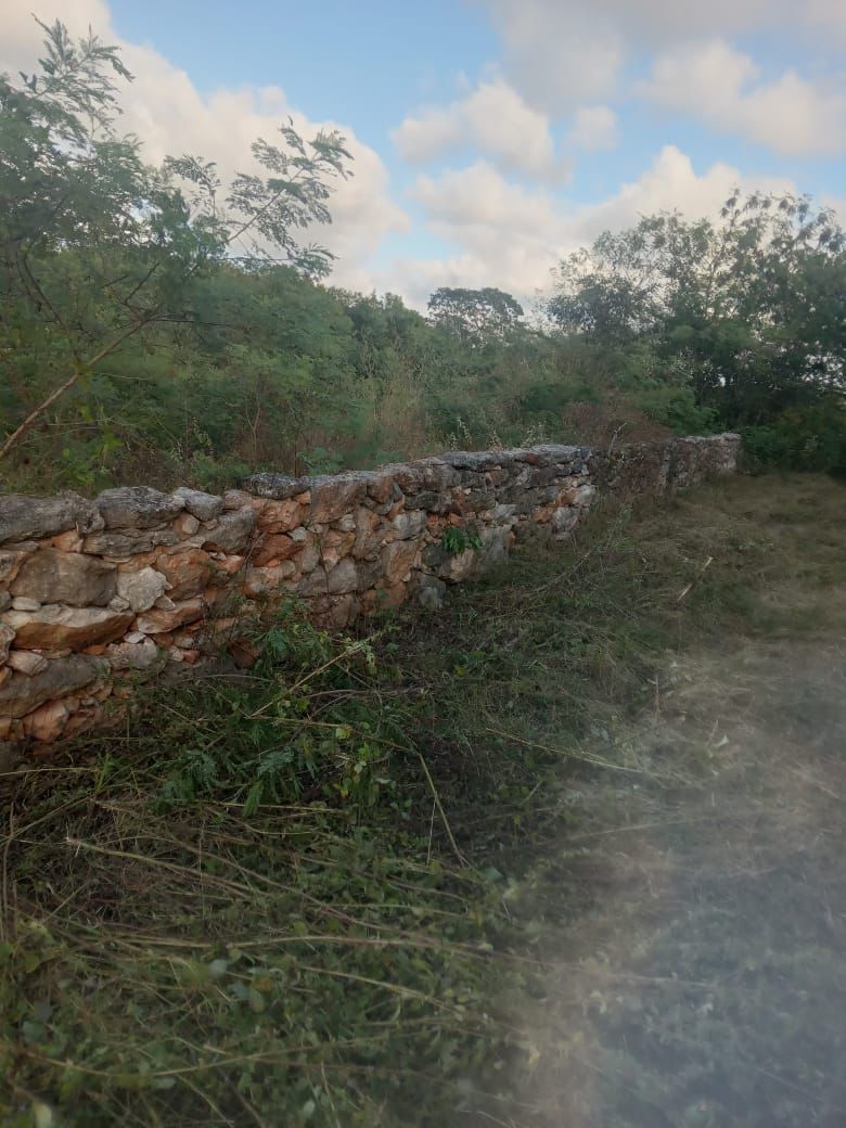 Terreno en Mococha - foto 3