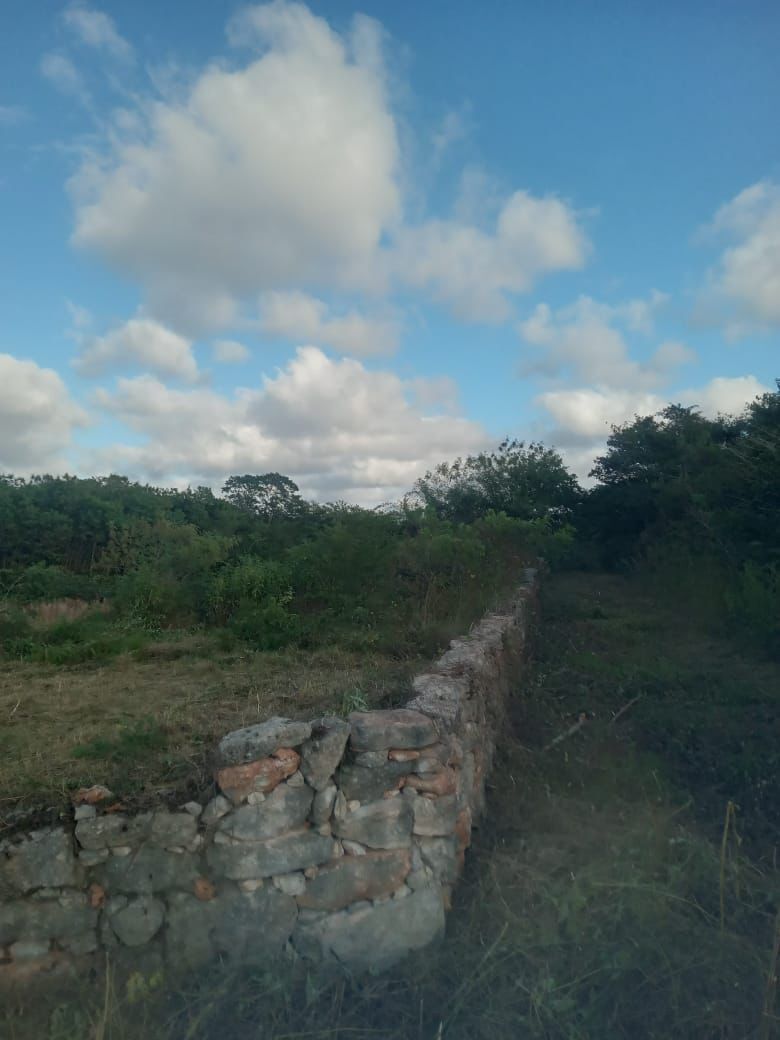 Terreno en Mococha - foto 4