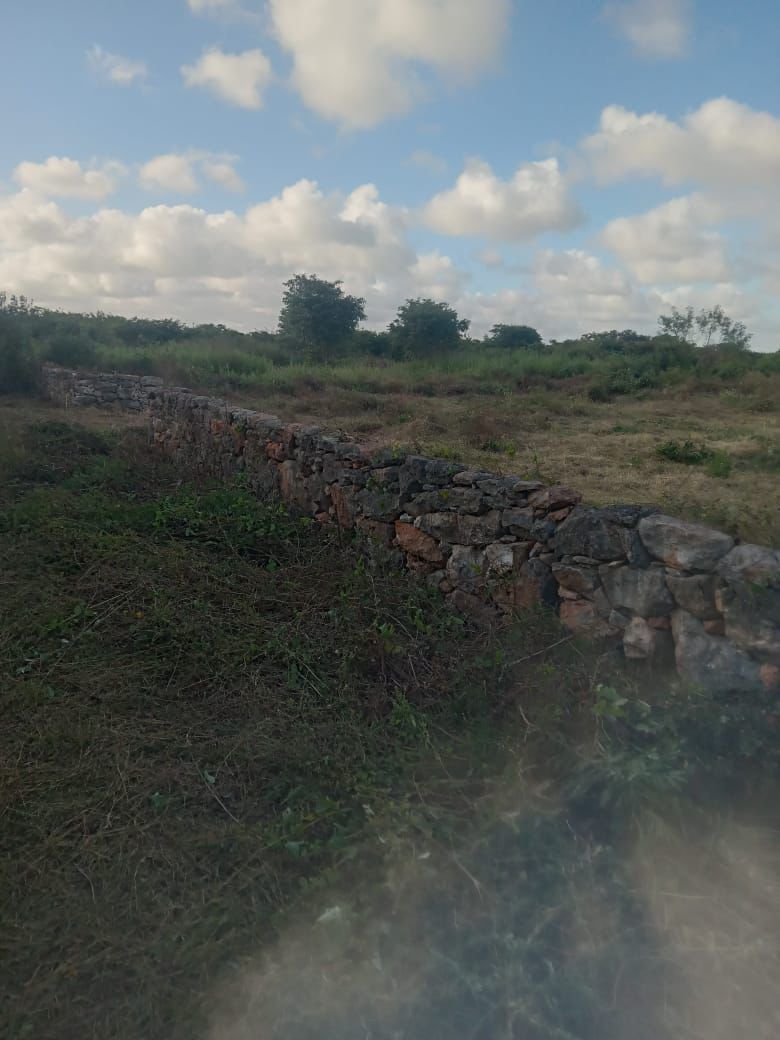 Terreno en Mococha - foto 5