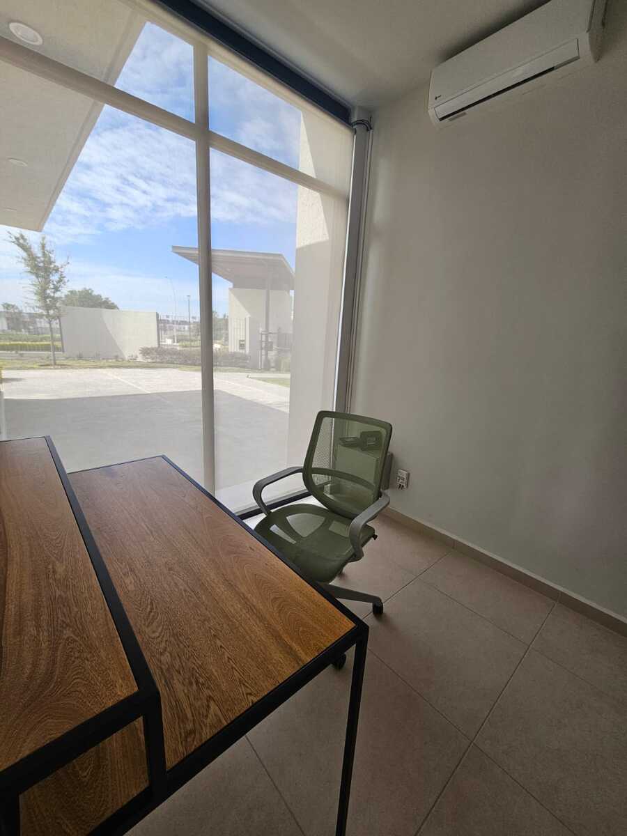 3 de 31