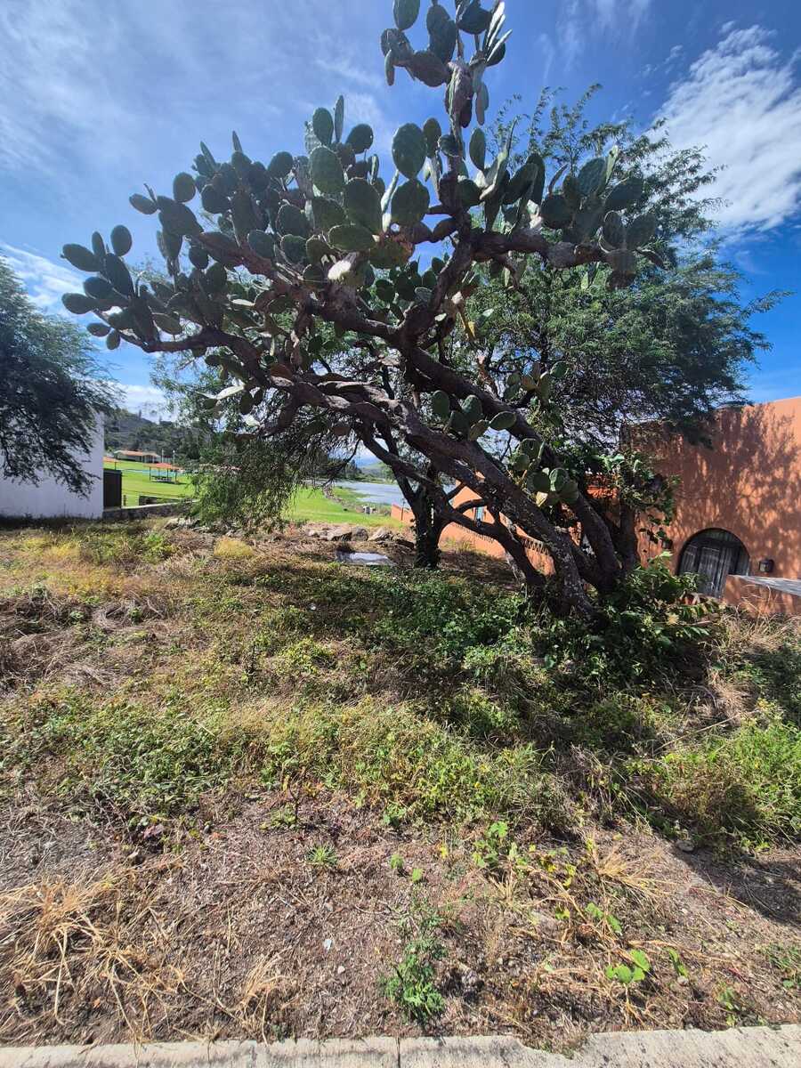 5 de 7