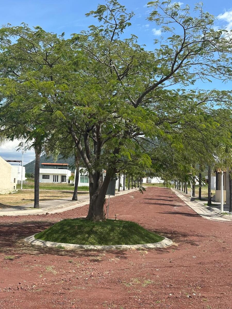 7 de 7