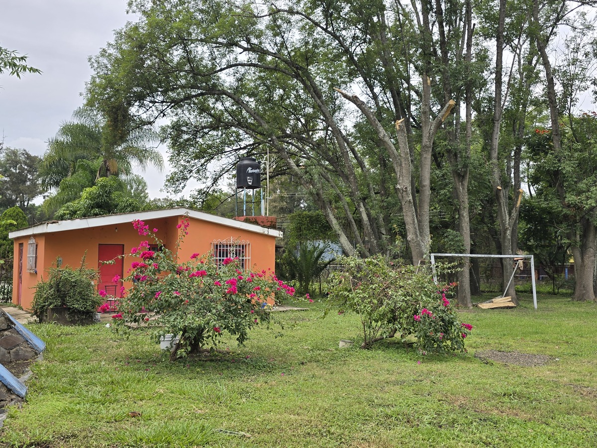 3 de 16