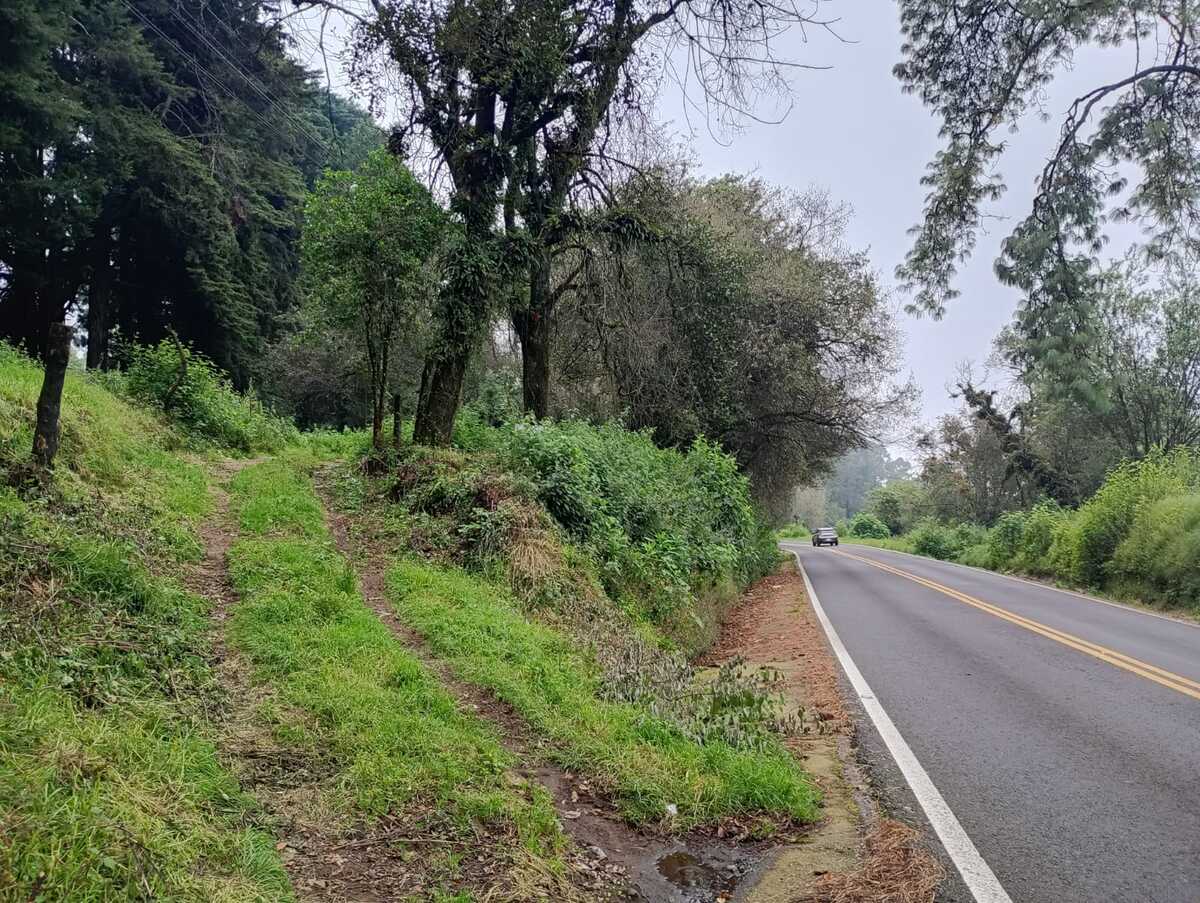 10 de 10