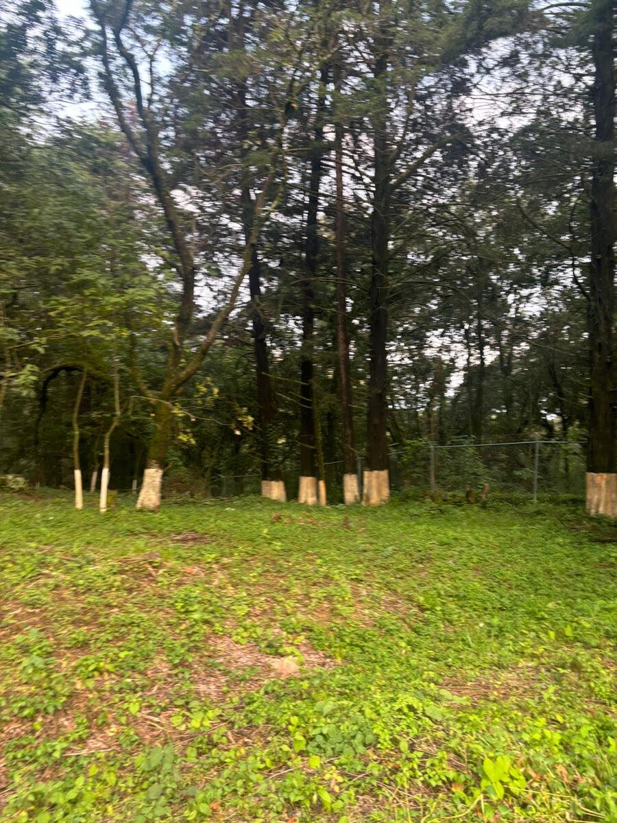 1 de 20