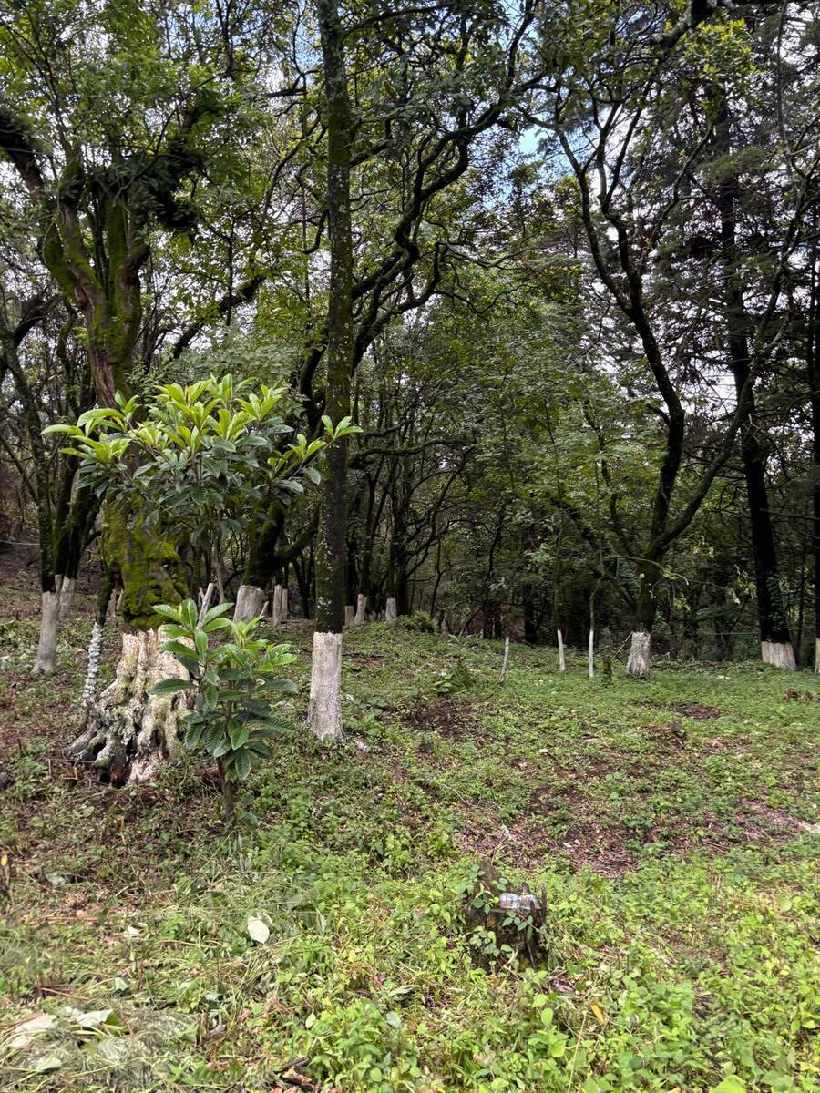 11 de 20