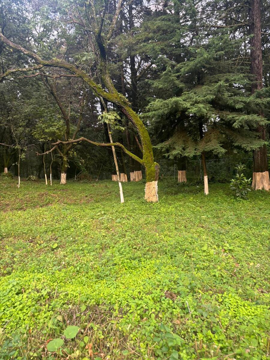 2 de 20