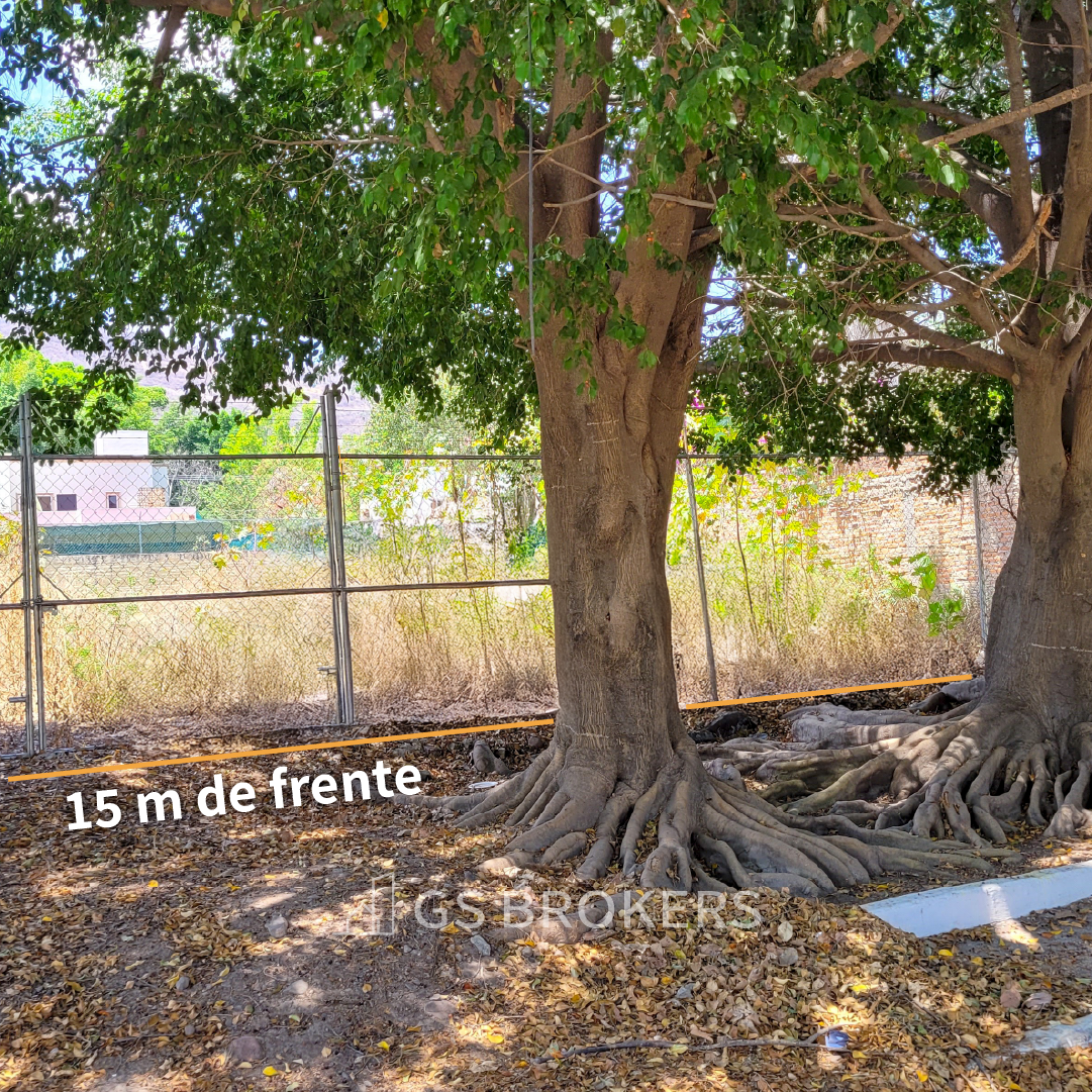 4 de 9