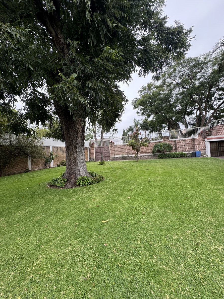 25 de 30