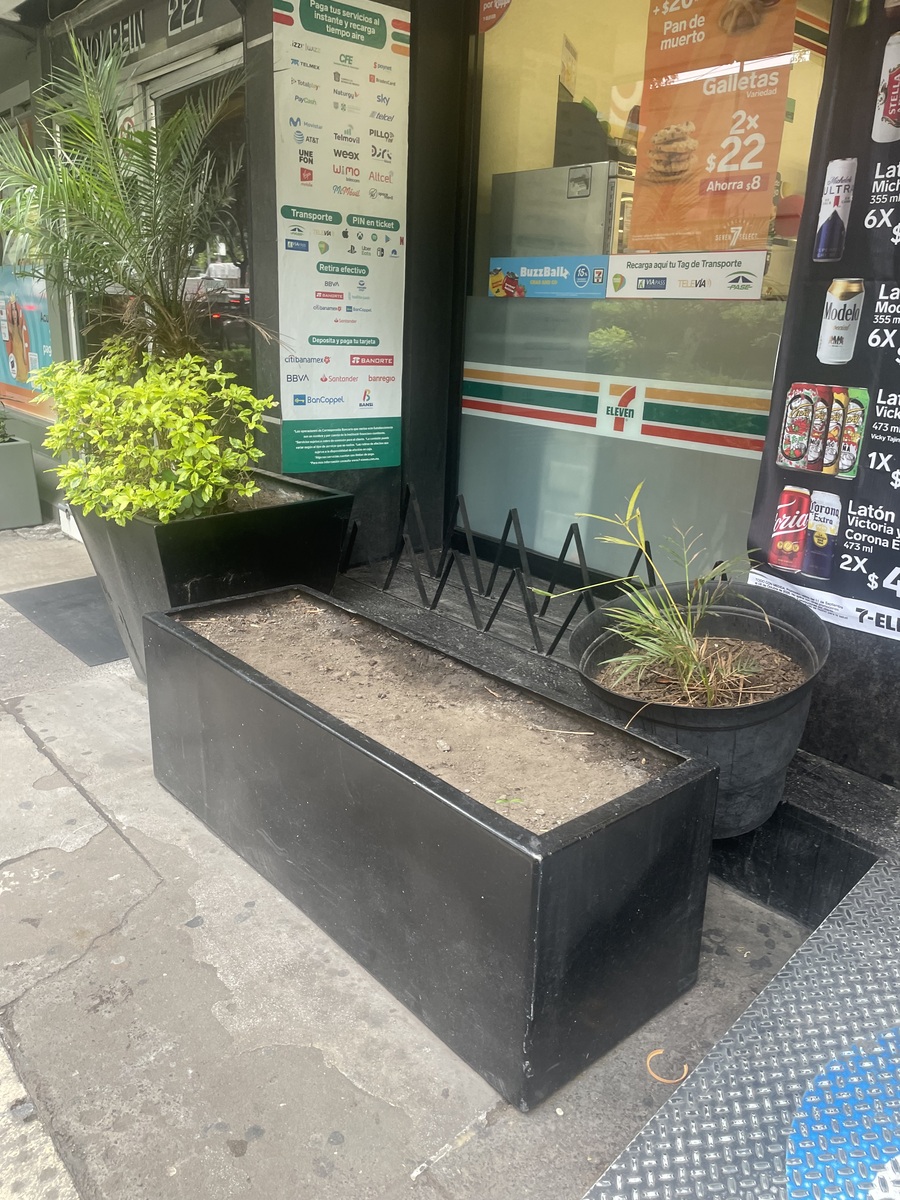 10 de 11