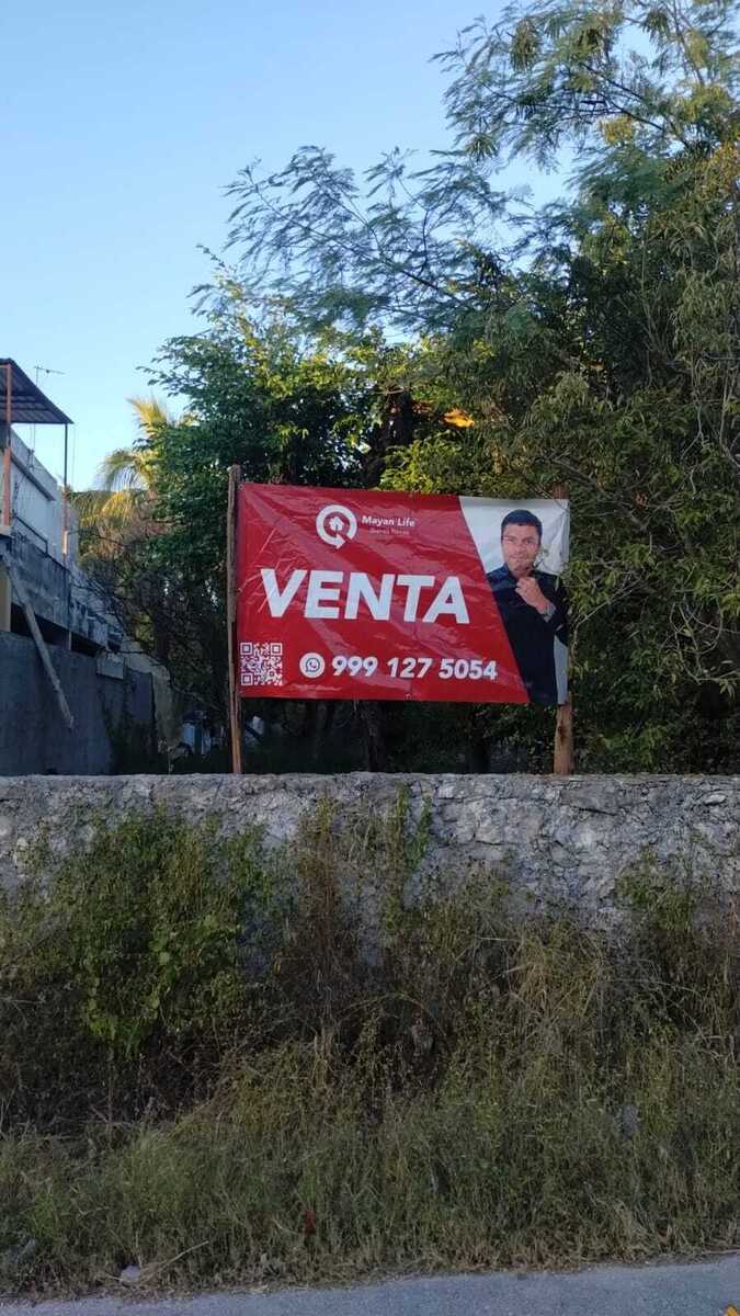 7 de 7