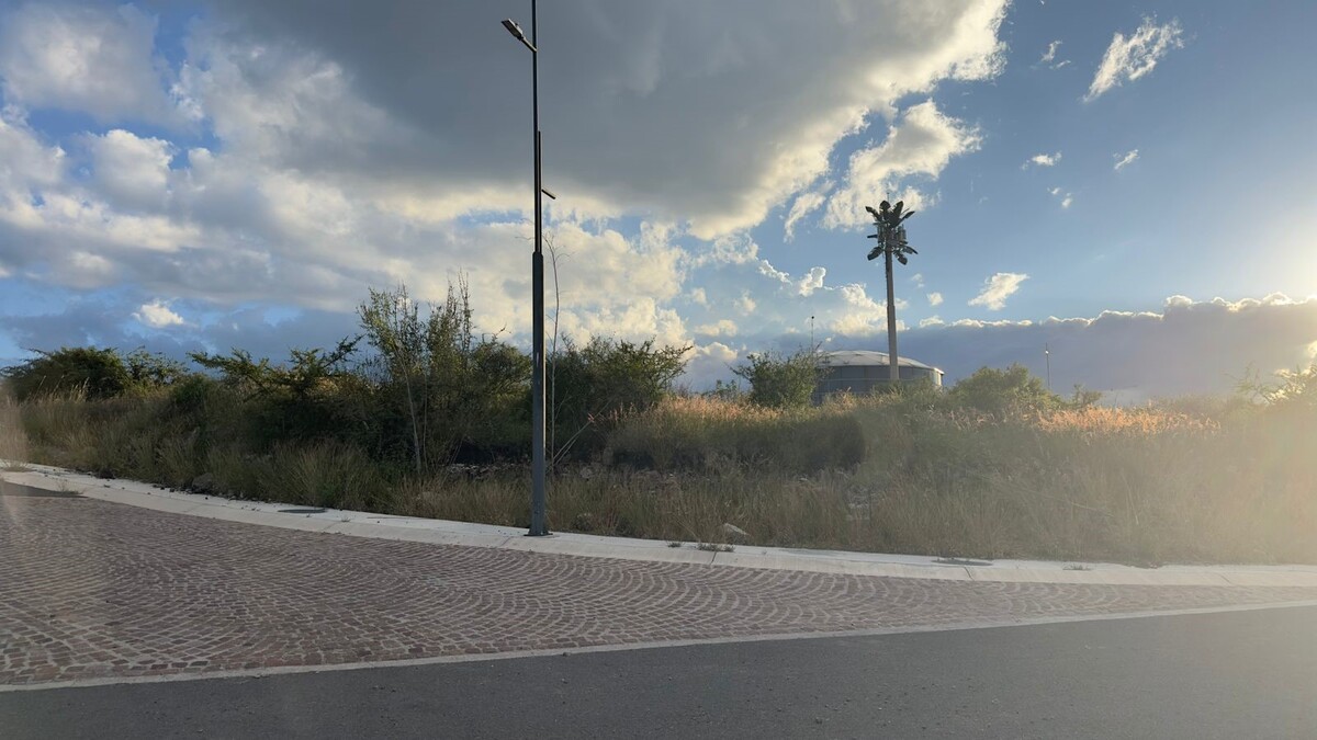 4 de 6