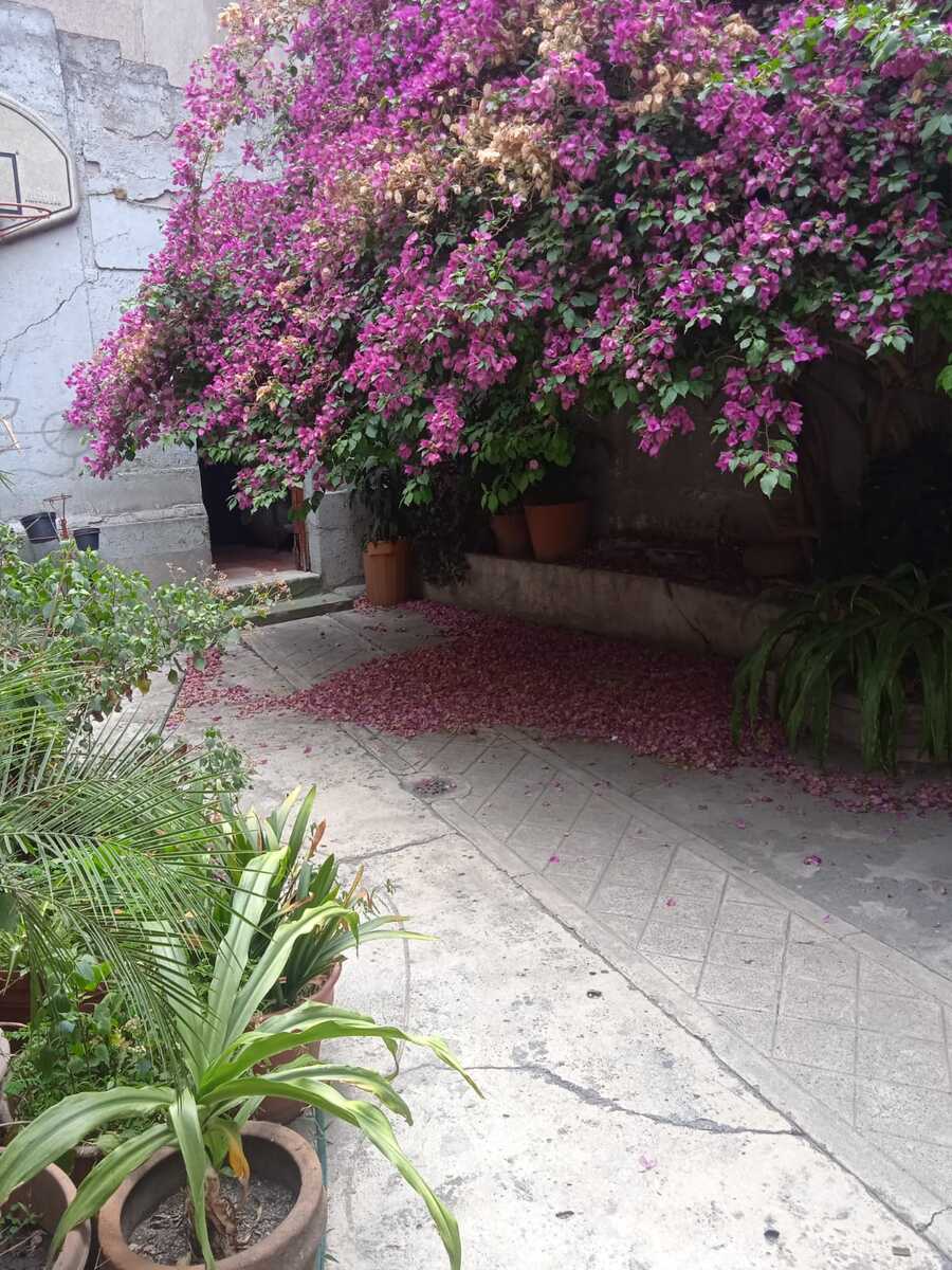 3 de 13